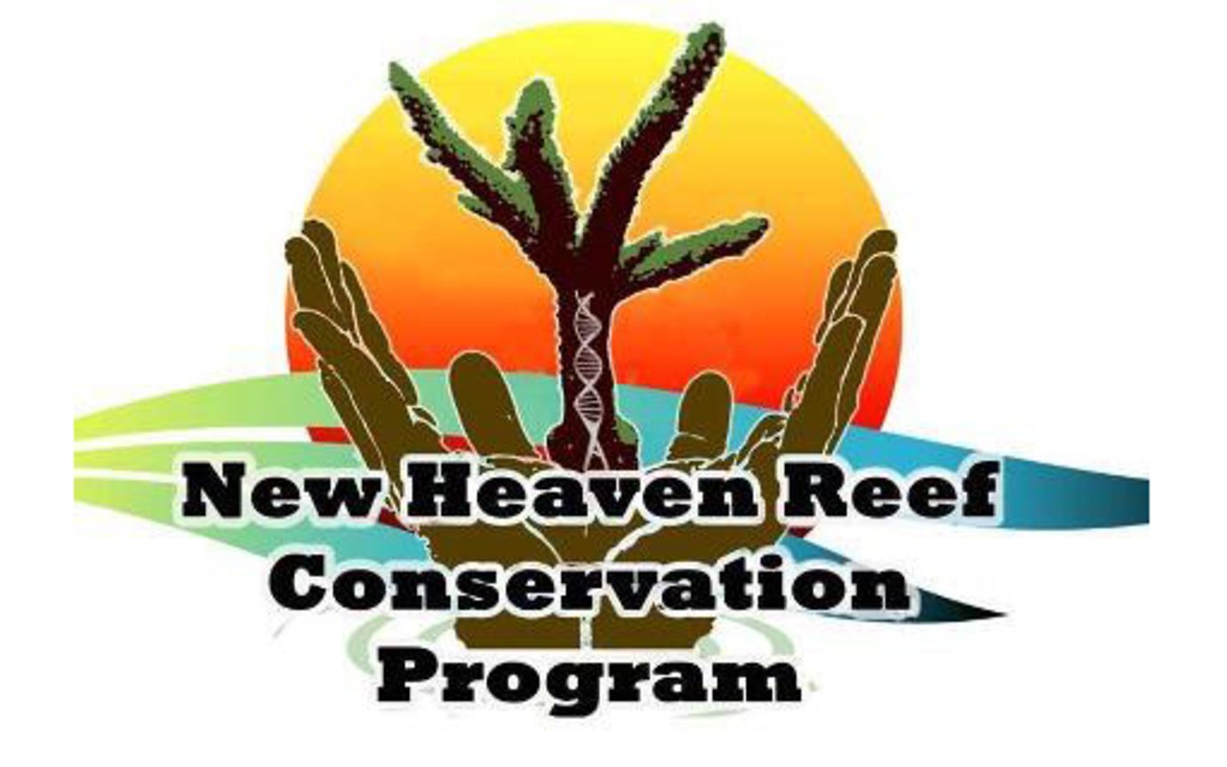 New Heaven Reef Conservation Program