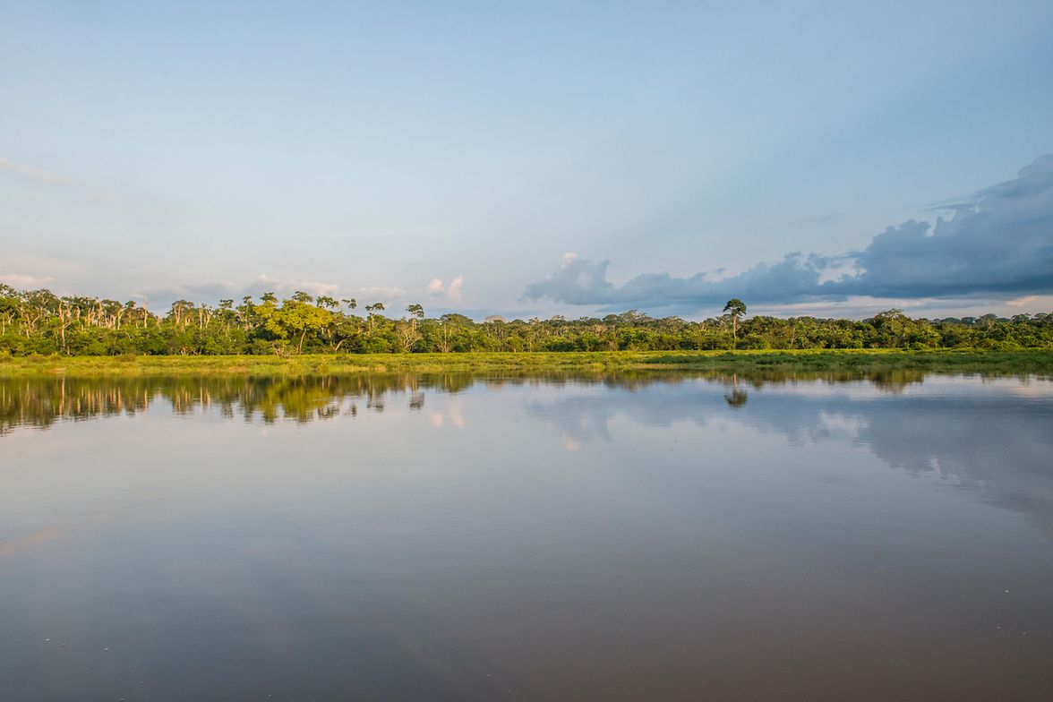 lgtvp-african-parks_en