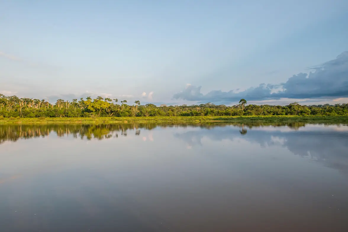 lgtvp-african-parks_en