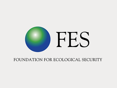 FES Logo