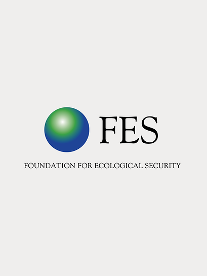 FES Logo der Foundation for Ecological Security mit einer grünen und blauen Kugel links