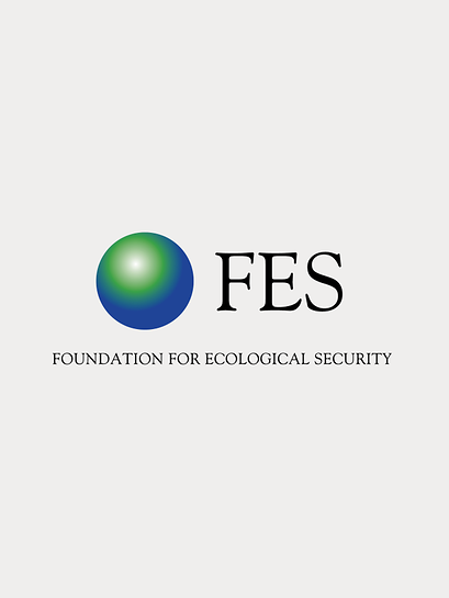 FES Logo