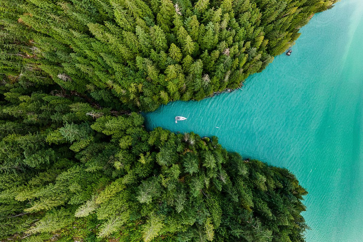 Boat, Forest, Ocean